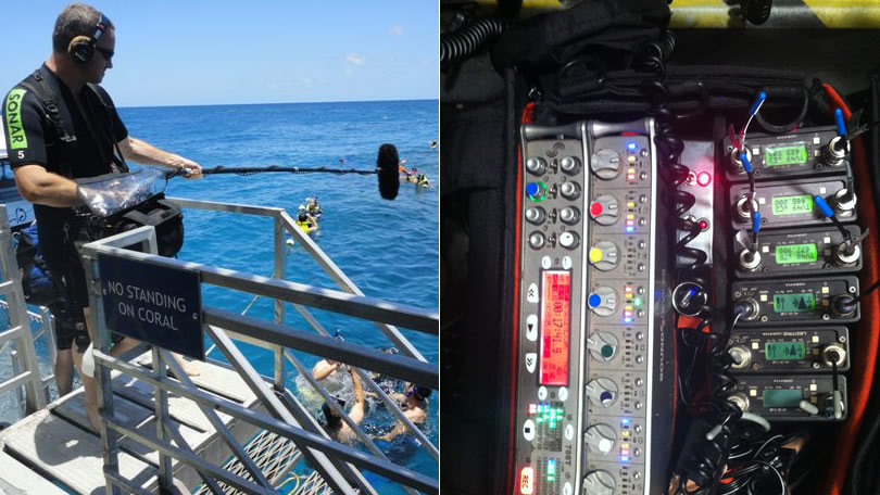 Tasmanian Sound Recordist - David Tottle